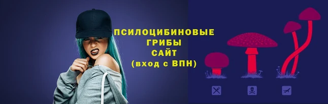 2c-b Балахна