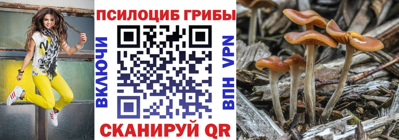 где купить наркоту  Покровск  Галлюциногенные грибы мухоморы 